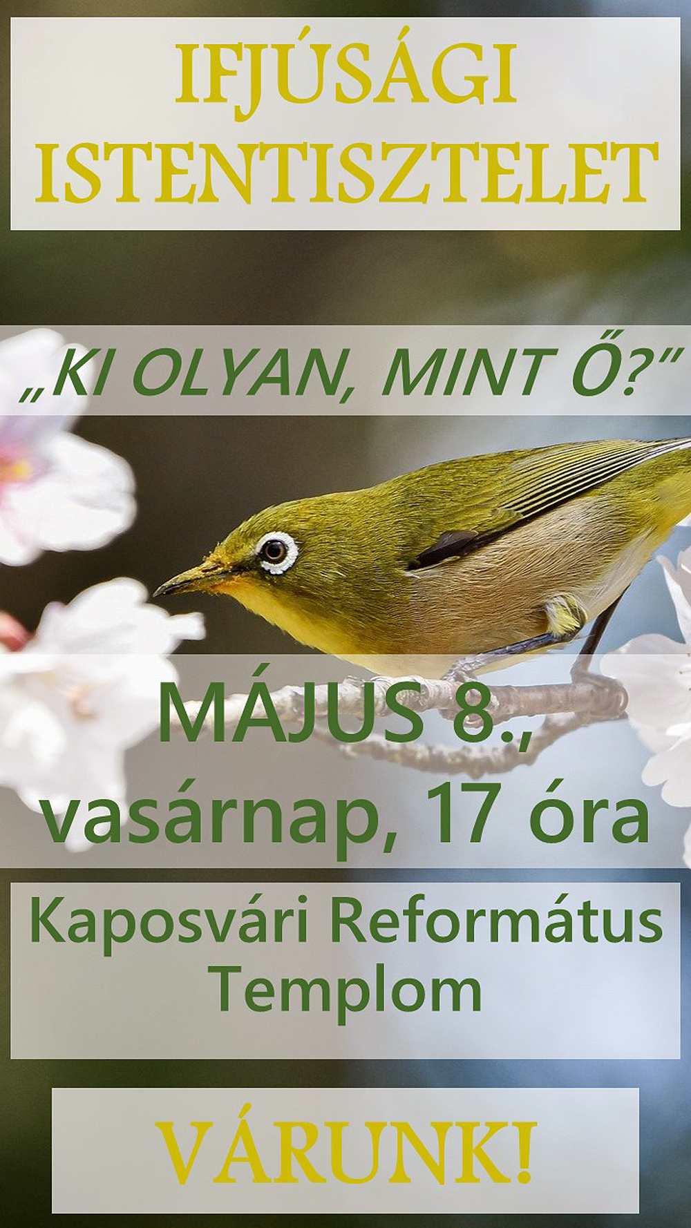 Ifjúsági istentisztelet – 2022. május 8.