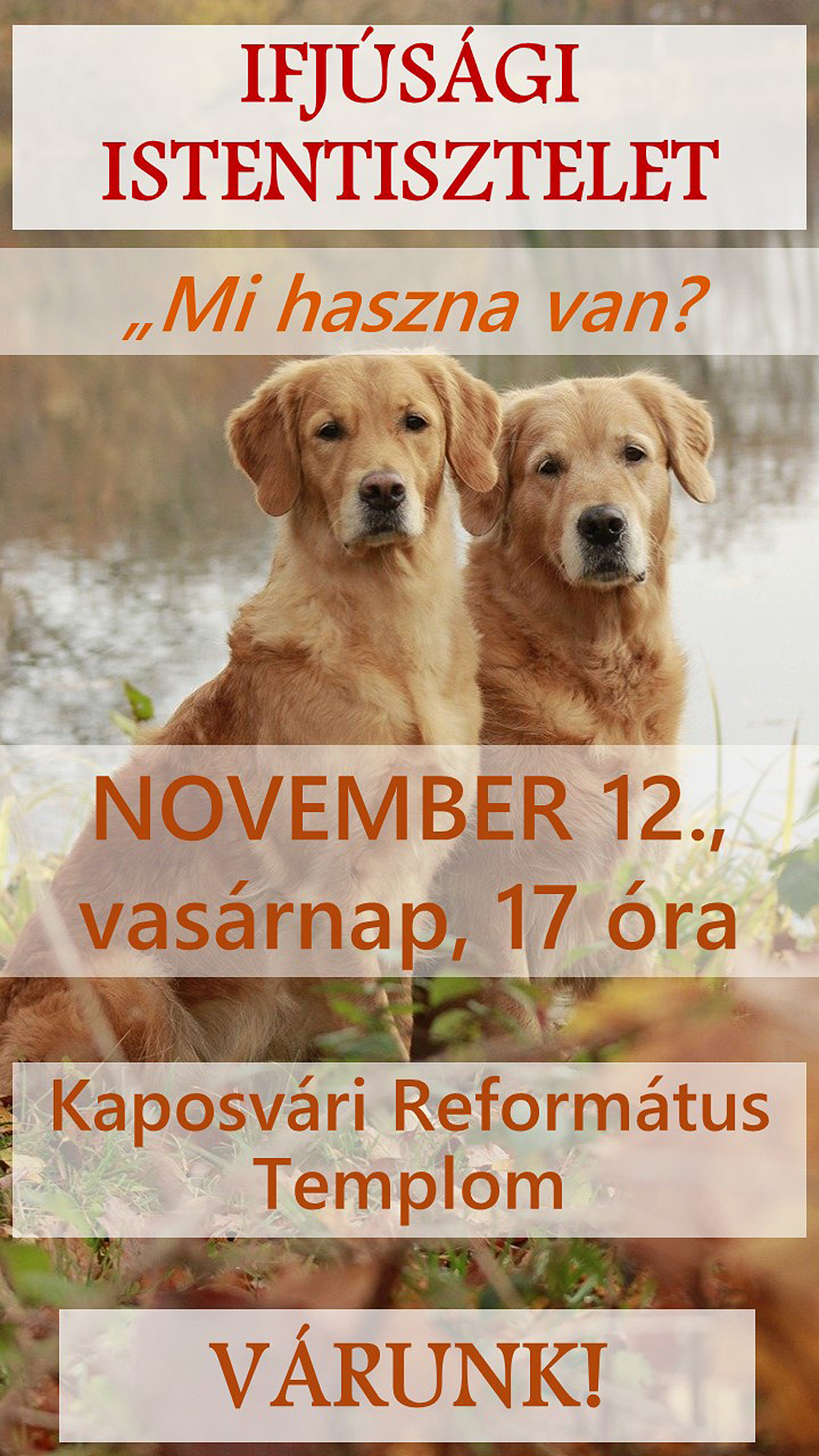 Ifjúsági istentisztelet – 2023. november 12.